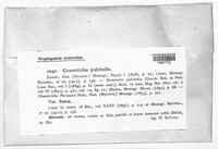 Image Associated With the Occurence